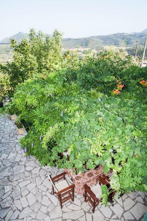 Villa Ilias Pinakokhorion 외부 사진