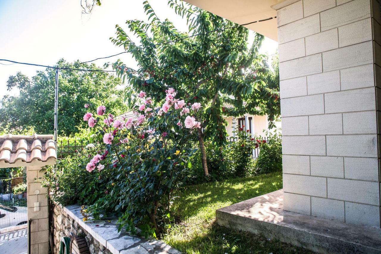 Villa Ilias Pinakokhorion 외부 사진